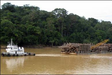 Timber Industry in Sibu, Sarawak