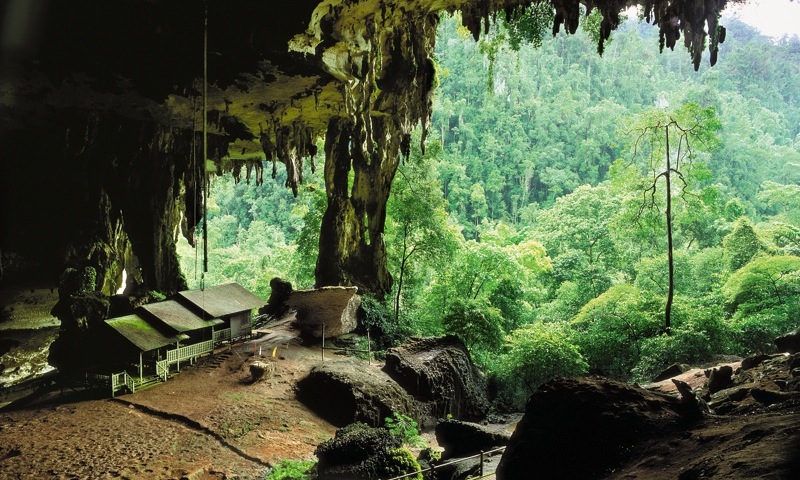 Sarawak Cave